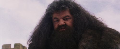 PF-Potterish_07243.jpg