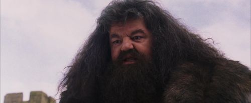 PF-Potterish_07244.jpg