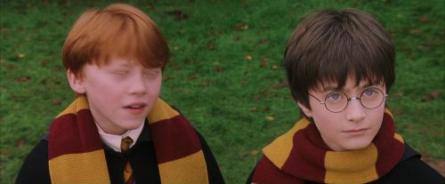 PF-Potterish_07246.jpg
