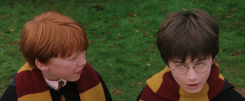 Click to view full size image
==============
PF-Potterish_07248.jpg PF-Potterish_07248.jpg