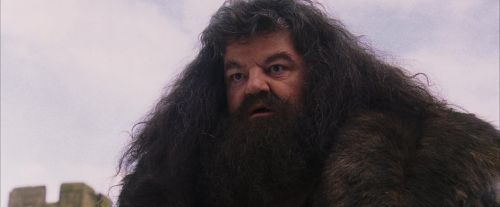 PF-Potterish_07250.jpg