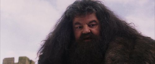 PF-Potterish_07251.jpg