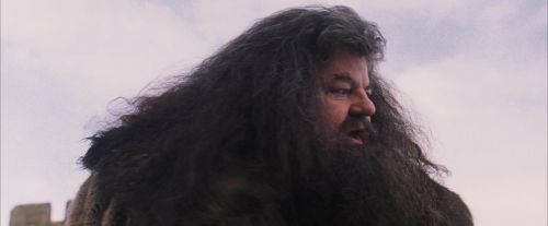 PF-Potterish_07253.jpg