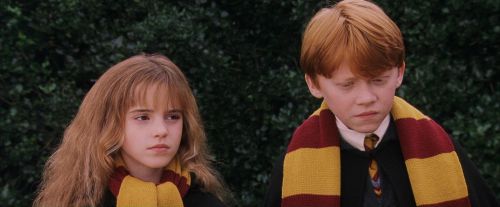 PF-Potterish_07262.jpg