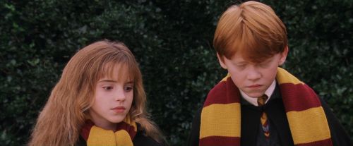 PF-Potterish_07263.jpg