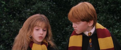 PF-Potterish_07264.jpg