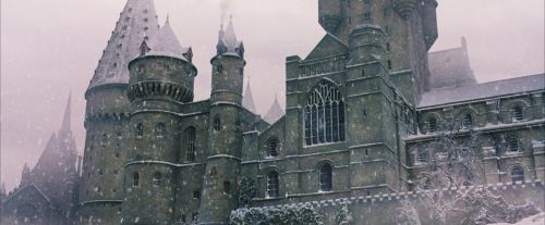 PF-Potterish_07273.jpg