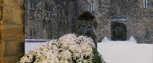PF-Potterish_07281.jpg