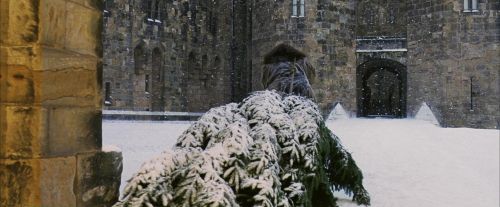 Click to view full size image
==============
PF-Potterish_07284.jpg PF-Potterish_07284.jpg