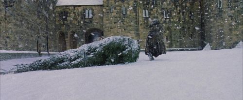 PF-Potterish_07290.jpg