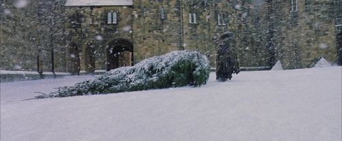 Click to view full size image
==============
PF-Potterish_07292.jpg PF-Potterish_07292.jpg