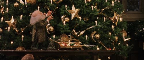 PF-Potterish_07307.jpg