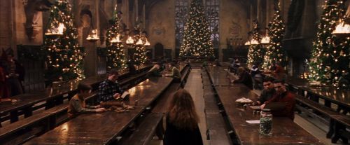PF-Potterish_07326.jpg