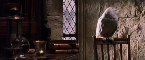 Click to view full size image
==============
PF-Potterish_07412.jpg PF-Potterish_07412.jpg