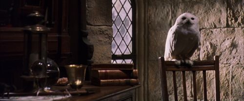 Click to view full size image
==============
PF-Potterish_07413.jpg PF-Potterish_07413.jpg