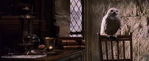 Click to view full size image
==============
PF-Potterish_07414.jpg PF-Potterish_07414.jpg