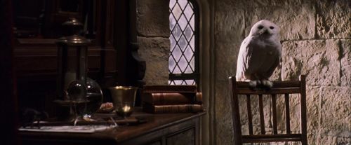 Click to view full size image
==============
PF-Potterish_07415.jpg PF-Potterish_07415.jpg