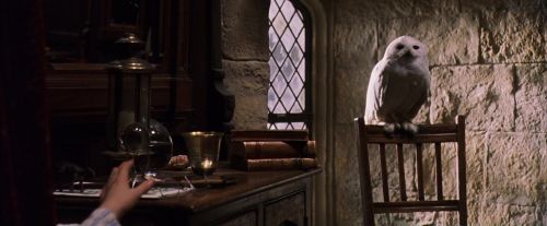 Click to view full size image
==============
PF-Potterish_07416.jpg PF-Potterish_07416.jpg