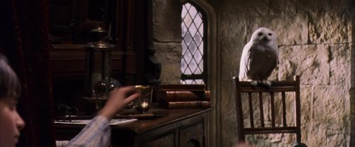 Click to view full size image
==============
PF-Potterish_07417.jpg PF-Potterish_07417.jpg