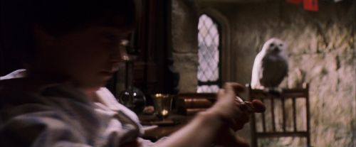 PF-Potterish_07418.jpg