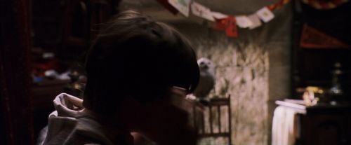 Click to view full size image
==============
PF-Potterish_07420.jpg PF-Potterish_07420.jpg