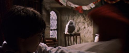 Click to view full size image
==============
PF-Potterish_07421.jpg PF-Potterish_07421.jpg