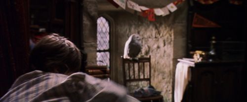 PF-Potterish_07422.jpg