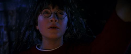 PF-Potterish_07571.jpg