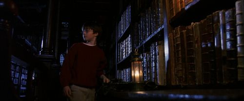 PF-Potterish_07625.jpg