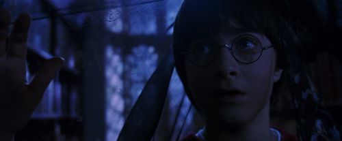 PF-Potterish_07686.jpg