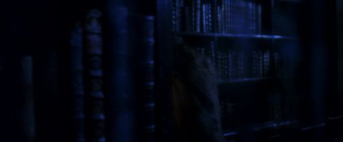 PF-Potterish_07700.jpg