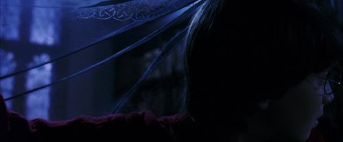 PF-Potterish_07707.jpg