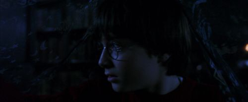 PF-Potterish_07711.jpg
