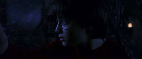 PF-Potterish_07712.jpg