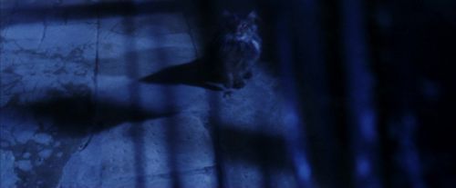 PF-Potterish_07727.jpg
