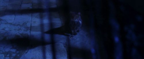 PF-Potterish_07729.jpg