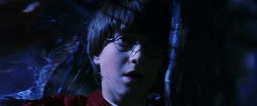 PF-Potterish_07760.jpg