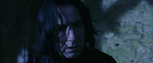 Click to view full size image
==============
PF-Potterish_07785.jpg PF-Potterish_07785.jpg