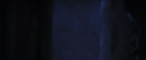 PF-Potterish_07853.jpg