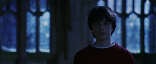 PF-Potterish_07909.jpg