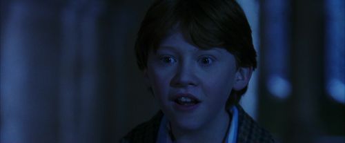 PF-Potterish_08060.jpg