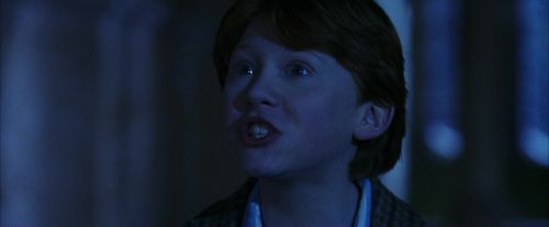 PF-Potterish_08061.jpg