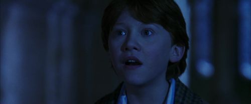 PF-Potterish_08064.jpg