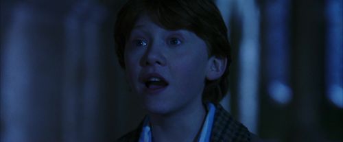 PF-Potterish_08065.jpg