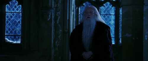 PF-Potterish_08130.jpg