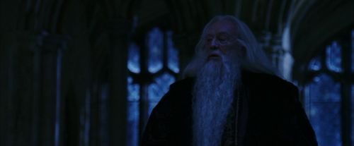 PF-Potterish_08139.jpg