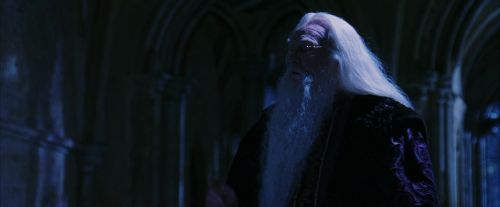 PF-Potterish_08141.jpg