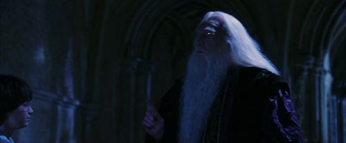 PF-Potterish_08142.jpg