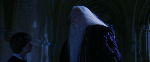 PF-Potterish_08143.jpg