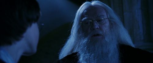 PF-Potterish_08182.jpg